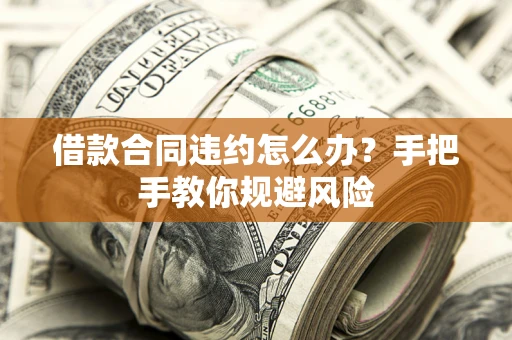 武汉借款合同违约怎么办？手把手教你规避风险