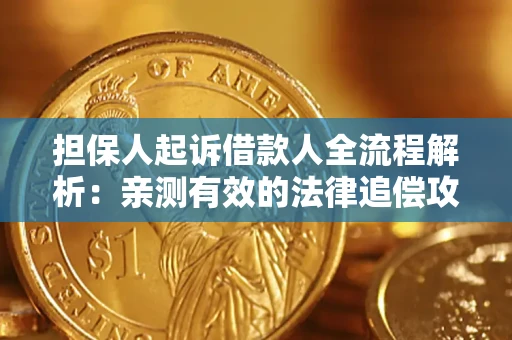 武汉担保人起诉借款人全流程解析：亲测有效的法律追偿攻略