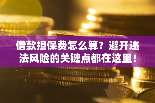 武汉借款担保费怎么算？避开违法风险的关键点都在这里！