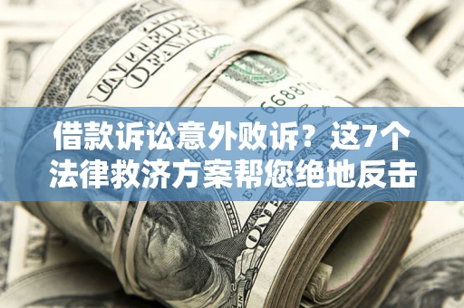 武汉借款诉讼意外败诉？这7个法律救济方案帮您绝地反击！