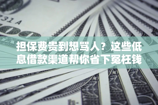 武汉担保费贵到想骂人？这些低息借款渠道帮你省下冤枉钱