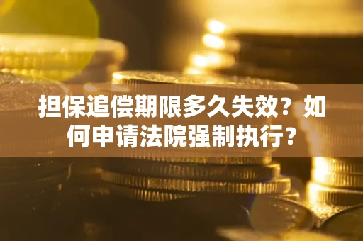 武汉担保追偿期限多久失效？如何申请法院强制执行？