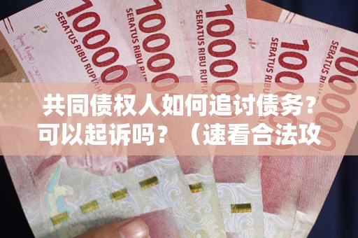 武汉共同债权人如何追讨债务？可以起诉吗？（速看合法攻略）
