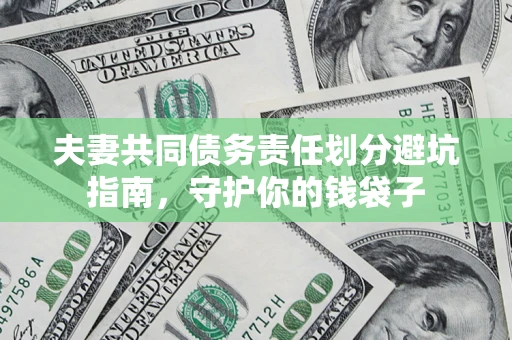 武汉夫妻共同债务责任划分避坑指南，守护你的钱袋子