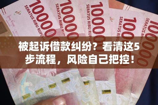 武汉被起诉借款纠纷？看清这5步流程，风险自己把控！