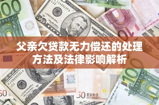 武汉父亲欠贷款无力偿还的处理方法及法律影响解析