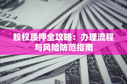 武汉股权质押全攻略：办理流程与风险防范指南