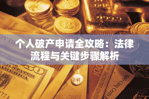 武汉个人破产申请全攻略：法律流程与关键步骤解析