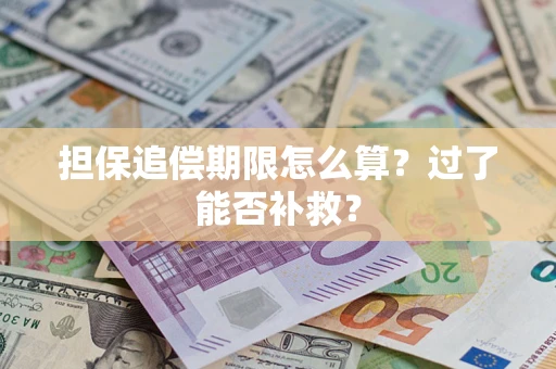 武汉担保追偿期限怎么算？过了能否补救？